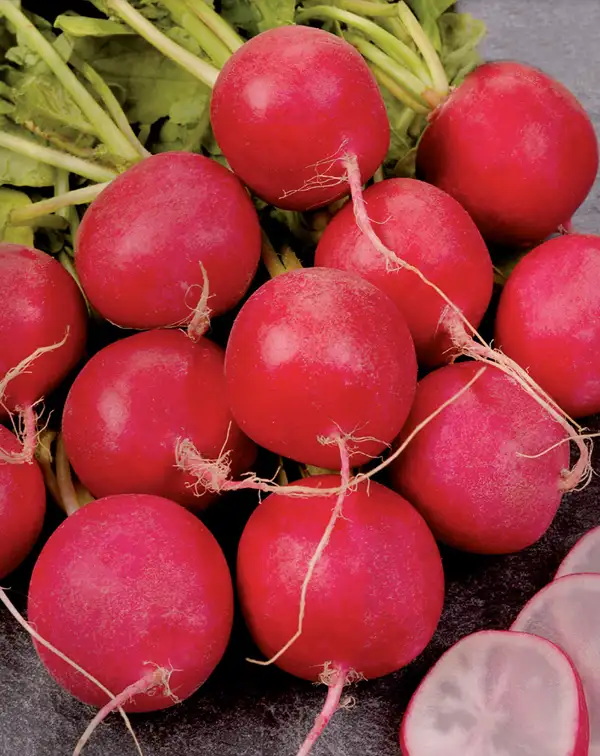 semillas-ecologicas-rabanito-redondo-rojo-saxa-batlle