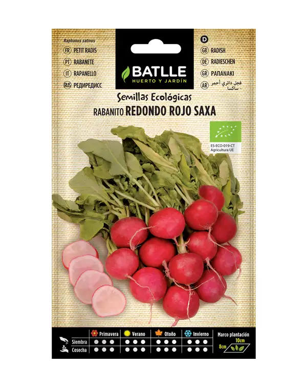 semillas-ecologicas-rabanito-redondo-rojo-saxa