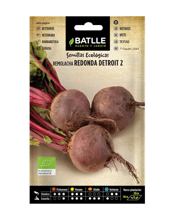 semillas-ecologicas-remolacha-redonda-detroit-2