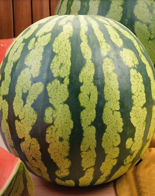 semillas-ecologicas-sandia-crimson-sweet-batlle