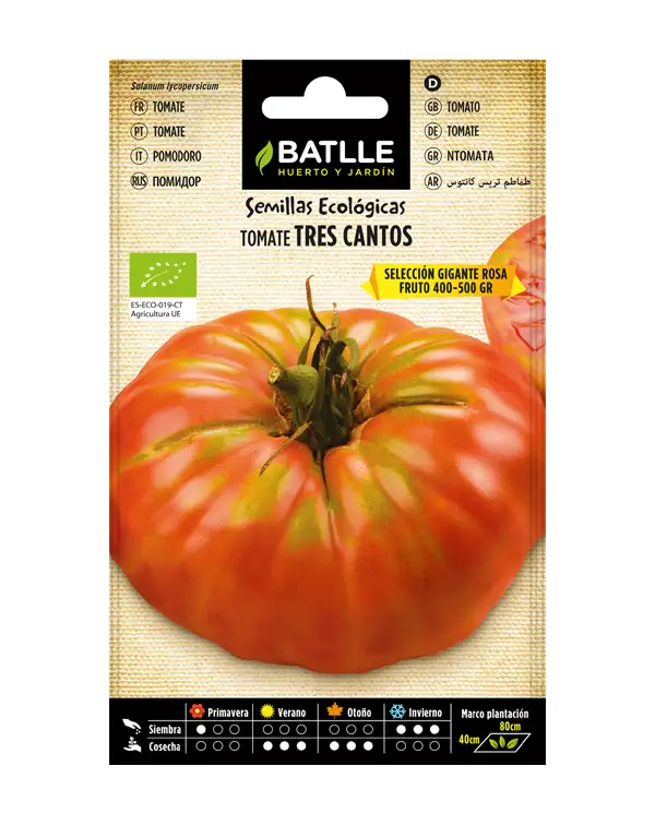 semillas-ecologicas-tomate-tres-cantos-gigante-rosa