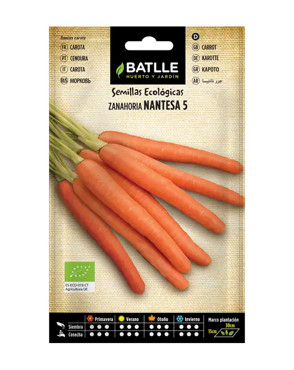 semillas-ecologicas-zanahoria-nantesa-5