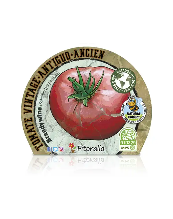 tomate-antiguo-brandywine-fitoralia-etiqueta