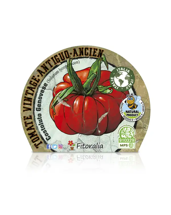 tomate-antiguo-costoluto-genovese-fitoralia-etiqueta