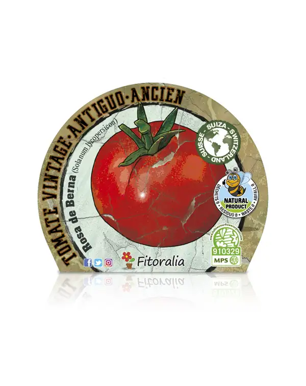 tomate-antiguo-rosa-de-berna-fitoralia-etiqueta