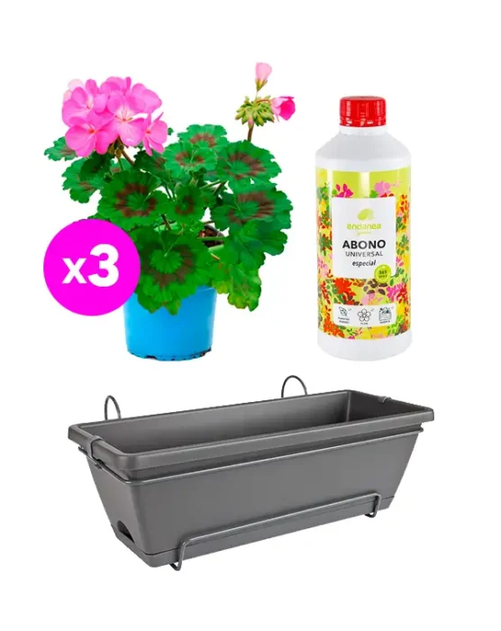 pack-ahorro-3geranio-zonal-abono-y-jardinera