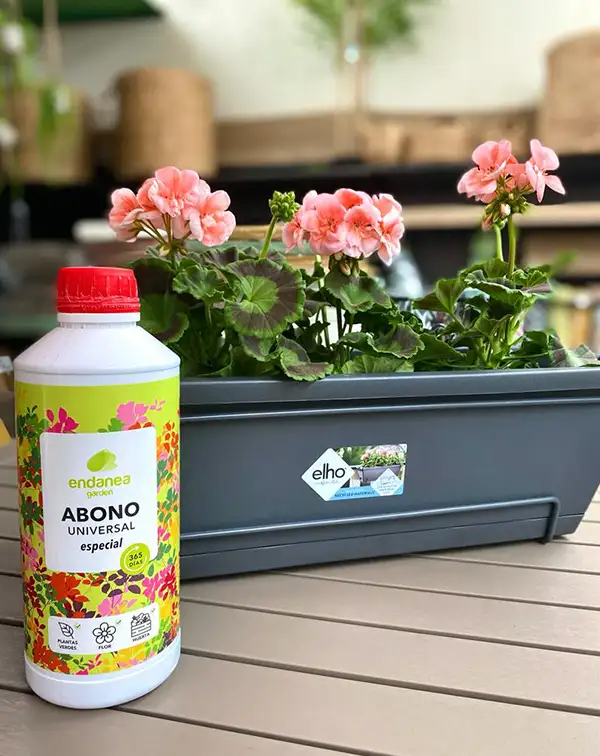 pack-ahorro-3geranio-zonal-abono-y-jardinera-elho