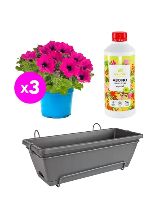 pack-ahorro-3surfinia-abono-y-jardinera